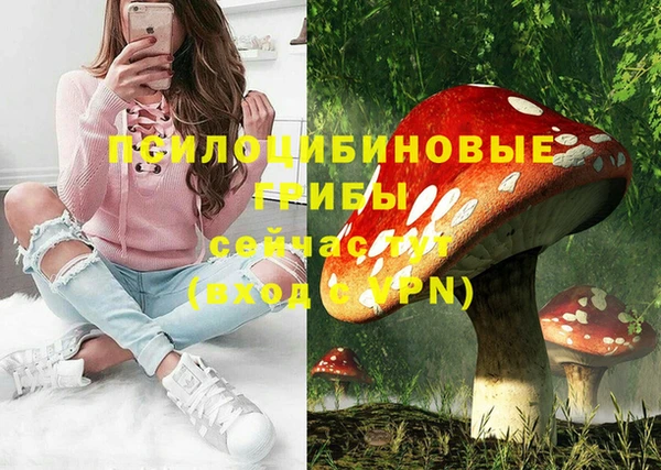 ГАЛЛЮЦИНОГЕННЫЕ ГРИБЫ Волоколамск