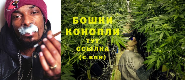ГАЛЛЮЦИНОГЕННЫЕ ГРИБЫ Волоколамск