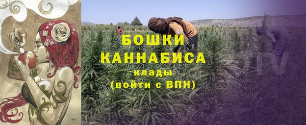 ГАЛЛЮЦИНОГЕННЫЕ ГРИБЫ Волоколамск