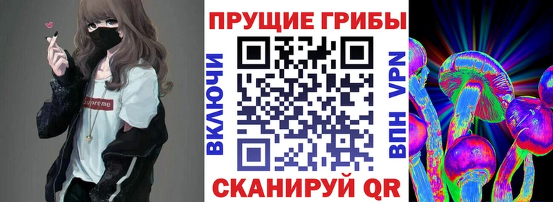 Псилоцибиновые грибы Psilocybe Купить где Валдай